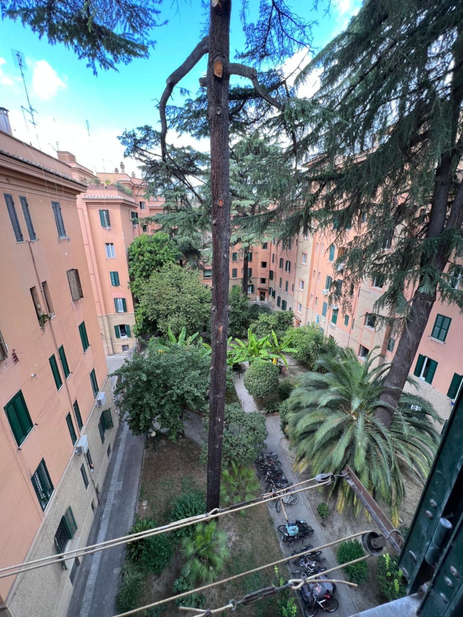 Enjoy Vatican In Rom