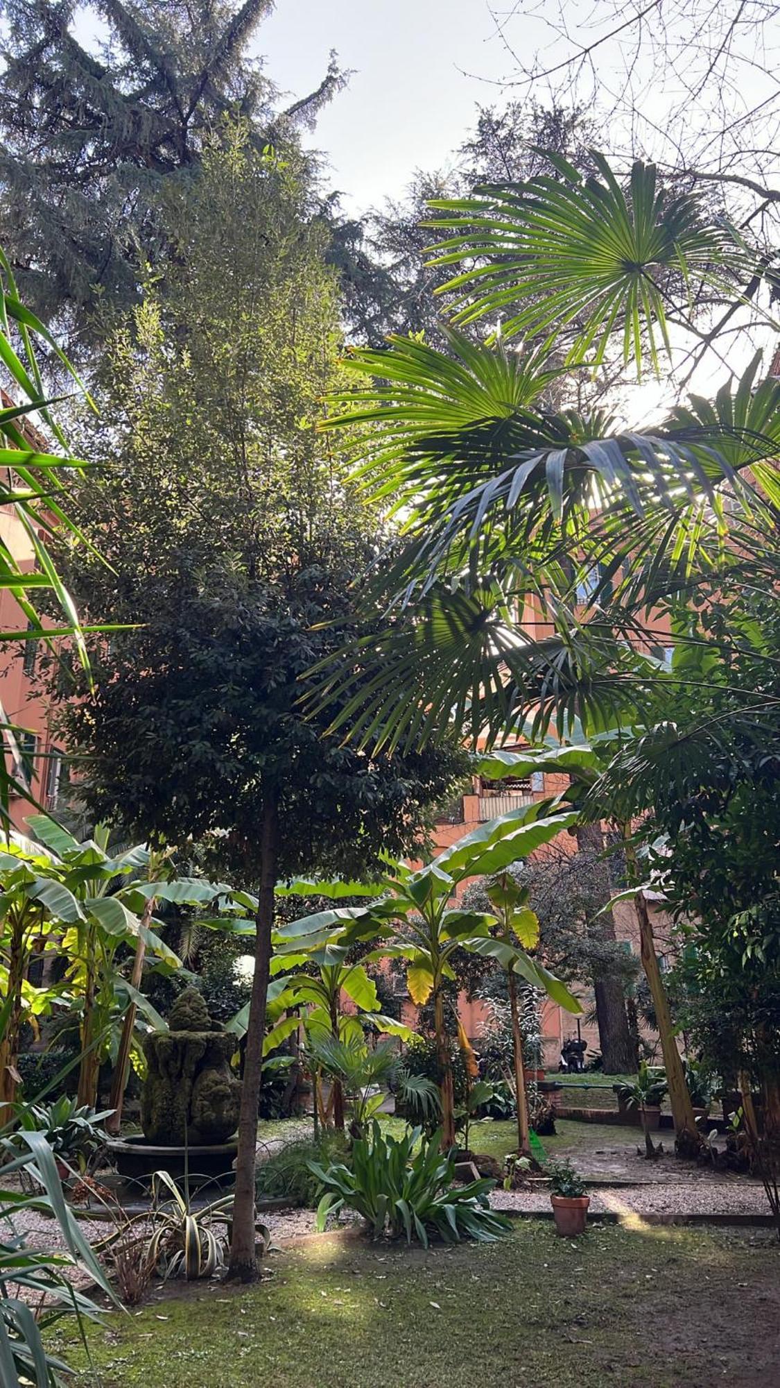 Enjoy Vatican In Apartment Rom